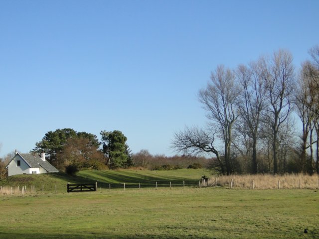 NWK 2010 203.jpg
